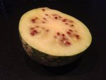 Melon d'Espagne