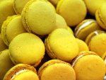 Macarons au citron - Arnaud Lahrer - 57 rue Damrémont - 75018 PARIS
